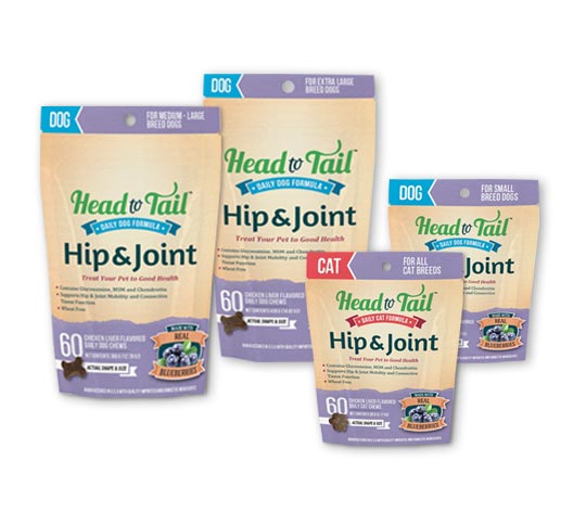 The healthiest way to spoil your pet. Take a proactive approach to your pet's wellbeing with Head to Tail Daily Pet Supplements. A woman is holding a small terrier.